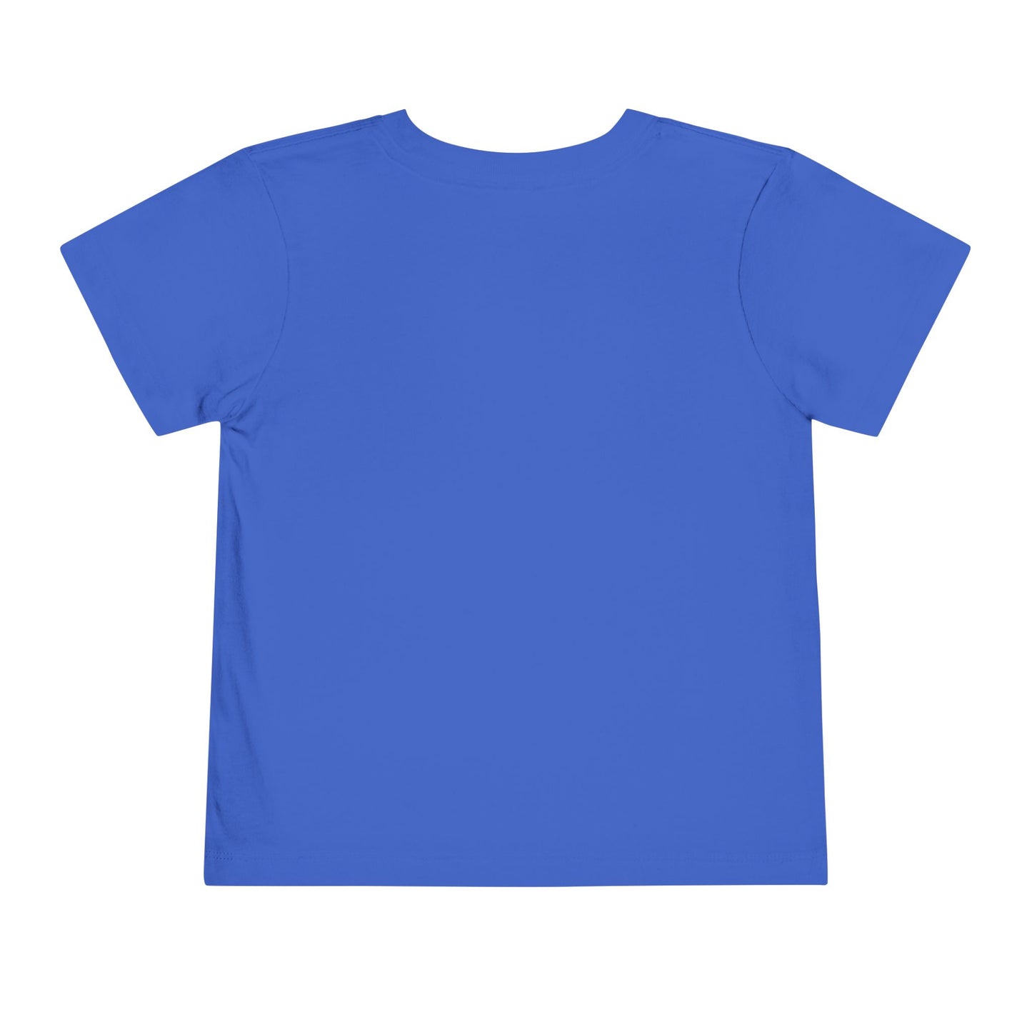 Toddler Tee - One Silly Goose